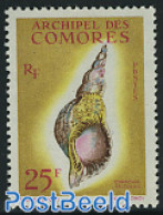 Comoros 1962 25F, Stamp Out Of Set, Mint NH, Nature - Shells & Crustaceans - Marine Life