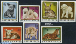 Hungary 1974 Young Animals 7v, Imperforated, Mint NH, Nature - Animals (others & Mixed) - Cats - Cattle - Dogs - Horse.. - Unused Stamps