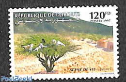 Djibouti 1997 All Day Life 1v, Mint NH, Nature - Cattle - Djibouti (1977-...)