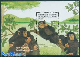 Comoros 1999 Chimpansee S/s, Mint NH, Nature - Animals (others & Mixed) - Monkeys - Comores (1975-...)
