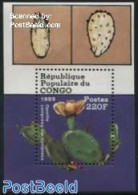 Congo Republic 1989 Cactus Flowers S/s, Mint NH, Nature - Cacti - Flowers & Plants - Sukkulenten