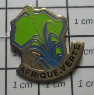 713M Pin's Pins / Beau Et Rare / AUTRES / AFRIQUE VERTE ROSEAU ? - Autres & Non Classés