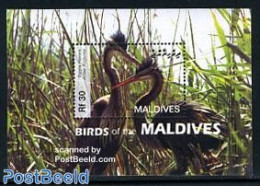 Maldives 2006 Birds S/s, Mint NH, Nature - Birds - Malediven (1965-...)