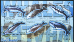 Micronesia 2001 Whales 6v M/s (6x60c), Mint NH, Nature - Sea Mammals - Micronesia