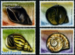 Micronesia 2009 Seashells 4v, Mint NH, Nature - Shells & Crustaceans - Maritiem Leven