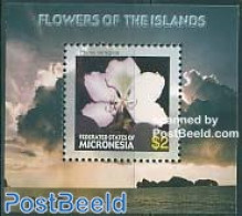 Micronesia 2005 Flowers S/s, Phinia Variegata S/s, Mint NH, Nature - Flowers & Plants - Micronésie
