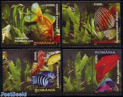 Romania 2005 Exotic Fish 4v+tabs, Mint NH, Nature - Fish - Unused Stamps