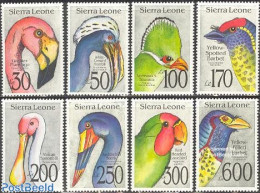 Sierra Leone 1992 Birds 8v, Mint NH, Nature - Birds - Flamingo - Andere & Zonder Classificatie