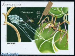 Somalia 2002 Spiders S/s, Mint NH, Nature - Animals (others & Mixed) - Insects - Somalia (1960-...)