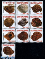 Suriname, Republic 2010 Shells 10v (1v+sheetlet), Mint NH, Nature - Shells & Crustaceans - Marine Life