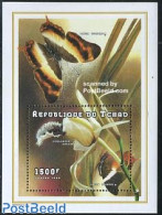 Chad 1998 Butterflies S/s, Mint NH, Nature - Butterflies - Sonstige & Ohne Zuordnung