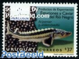 Uruguay 2009 Fish, Mercosur 1v, Mint NH, Nature - Fish - Poissons