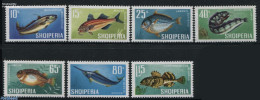 Albania 1967 Fish 7v, Mint NH, Nature - Fish - Poissons