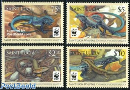 Saint Lucia 2008 WWF, Cnemidophorus Vanzoi 4v, Mint NH, Nature - Reptiles - World Wildlife Fund (WWF) - St.Lucie (1979-...)
