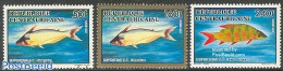 Central Africa 1991 Fish 3v, Mint NH, Nature - Fish - Poissons