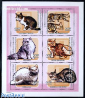 Central Africa 2001 Cats 6v M/s, Mint NH, Nature - Cats - Central African Republic