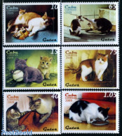 Cuba 2009 Cats 6v, Mint NH, Nature - Cats - Ongebruikt