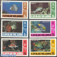 Cayman Islands 1978 Fish 6v, Mint NH, Nature - Fish - Fische