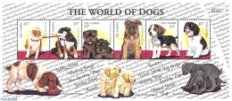 Gambia 2000 Dogs 6v M/s, Mint NH, Nature - Dogs - Gambia (...-1964)