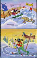 Gambia 1993 Winter Sports/Disney 2 S/s, Mint NH, Sport - Skiing - Art - Disney - Skisport