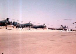 Militaria : Inspection De La Flottille 31F (hélicoptères Vertol H21 Bananes Volantes) à Sidi Bel Abbès - Aviation