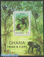 Ghana 1982 Chimpansee S/s, Mint NH, Nature - Animals (others & Mixed) - Monkeys - Sonstige & Ohne Zuordnung