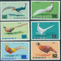 Korea, North 1976 Pheasants 6v, Coated Paper, Mint NH, Nature - Birds - Poultry - Korea (Nord-)