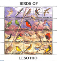 Lesotho 1992 Birds 20v M/s, Mint NH, Nature - Birds - Birds Of Prey - Pigeons - Lesotho (1966-...)