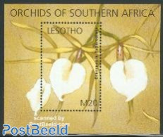 Lesotho 2002 Orchids S/s, Mint NH, Nature - Flowers & Plants - Orchids - Lesotho (1966-...)