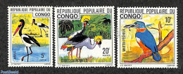 Congo Republic 1976 Birds 3v, Mint NH, Nature - Birds - Kingfishers - Sonstige & Ohne Zuordnung
