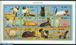 Gambia 1993 Cats 12v M/s, Mint NH, Nature - Cats - Gambie (...-1964)
