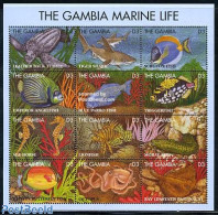 Gambia 1995 Marine Life 12v M/s, Mint NH, Nature - Fish - Turtles - Pesci