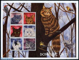 Sierra Leone 1997 Cats 6v M/s, Mint NH, Nature - Cats - Sonstige & Ohne Zuordnung