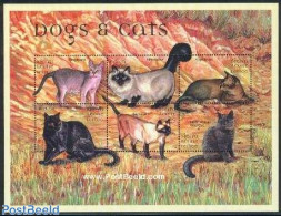 Sierra Leone 2000 Cats 6v M/s (6x1100Le), Mint NH, Nature - Cats - Other & Unclassified