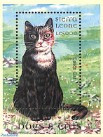 Sierra Leone 2000 Calico Cat S/s, Mint NH, Nature - Cats - Autres & Non Classés