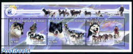 Comoros 1999 Polar Dogs 3v M/s, Mint NH, Nature - Science - Dogs - The Arctic & Antarctica - Komoren (1975-...)