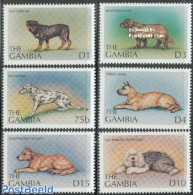 Gambia 1997 Dogs 6v, Mint NH, Nature - Dogs - Gambie (...-1964)