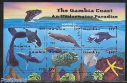 Gambia 2001 Gambia Coast 6v M/s, Mint NH, Nature - Fish - Sea Mammals - Poissons