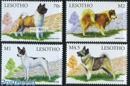 Lesotho 1999 Dogs 4v, Mint NH, Nature - Dogs - Lesotho (1966-...)