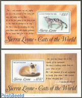 Sierra Leone 1993 Cats 2 S/s, Mint NH, Nature - Cats - Sonstige & Ohne Zuordnung