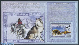 Congo Dem. Republic, (zaire) 2006 Polar Dogs S/s, Mint NH, Nature - Science - Dogs - The Arctic & Antarctica - Other & Unclassified