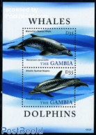 Gambia 2009 Whales & Dolphins S/s, Mint NH, Nature - Sea Mammals - Gambia (...-1964)