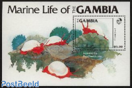 Gambia 1984 Cowrie Snail S/s, Mint NH, Nature - Animals (others & Mixed) - Shells & Crustaceans - Marine Life