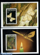 Grenada 1993 Moth 2 S/s, Mint NH, Nature - Butterflies - Sonstige & Ohne Zuordnung