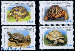 Kyrgyzstan 2010 Turtles 4v, Mint NH, Nature - Animals (others & Mixed) - Reptiles - Turtles - Other & Unclassified
