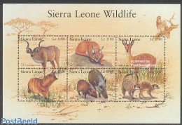 Sierra Leone 2002 Wildlife 6v M/s, Mint NH, Nature - Animals (others & Mixed) - Cat Family - Autres & Non Classés
