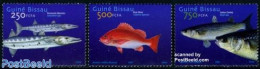 Guinea Bissau 2002 Fish 3v, Mint NH, Nature - Fish - Fishes