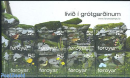 Faroe Islands 2007 Flora & Fauna Of The Rocks 8v M/s, Mint NH, Nature - Animals (others & Mixed) - Birds - Flowers & P.. - Andere & Zonder Classificatie