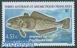 French Antarctic Territory 2006 Fish 1v, Colin De Kerguelen, Mint NH, Nature - Fish - Neufs