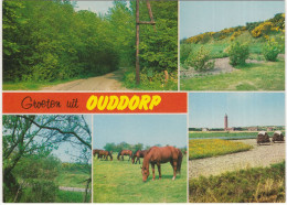 Groeten Uit Ouddorp - (Nederland/Holland)  - O.a. Paarden/Pferde - Autres & Non Classés